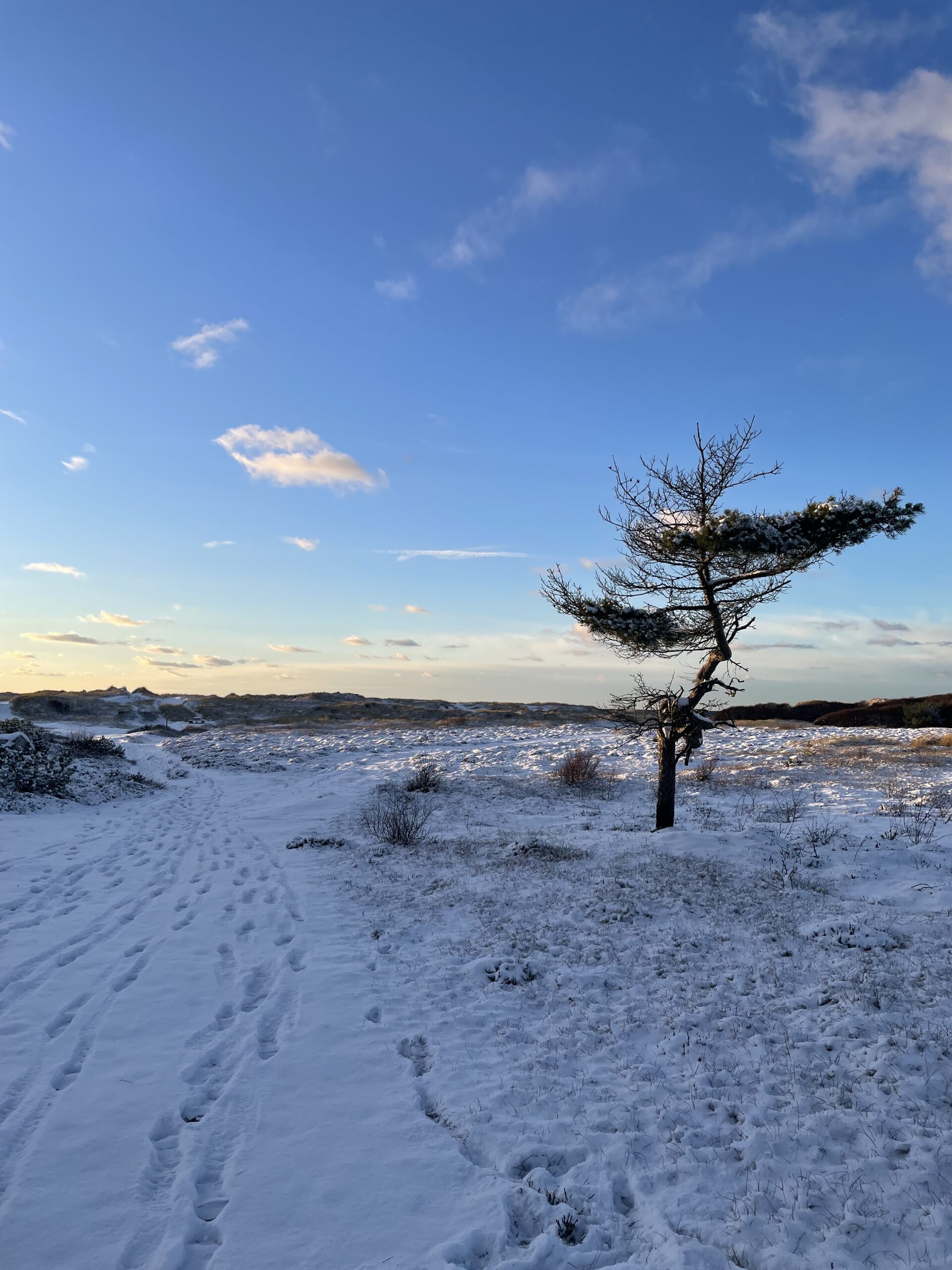 Vinterpromenad